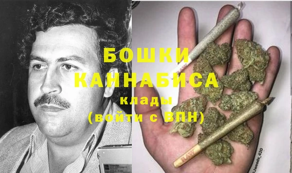 крисы Новозыбков