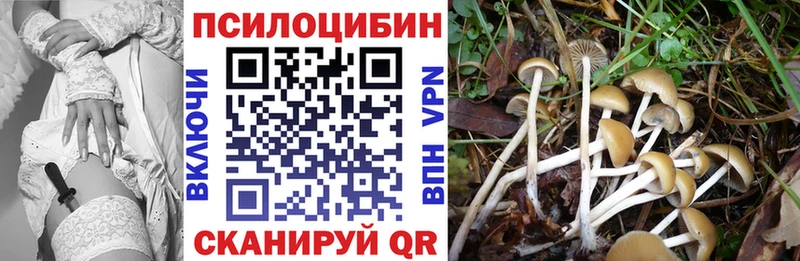 Галлюциногенные грибы GOLDEN TEACHER  Красково 